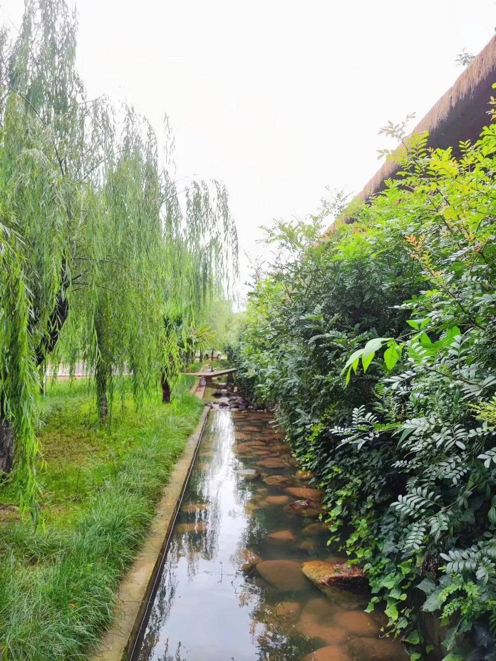 星歐注冊:“我是女生,歡迎陌生女孩免費住進我家”