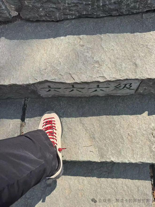 星歐平台:一周7天都能穿的鞋,還是這一雙!